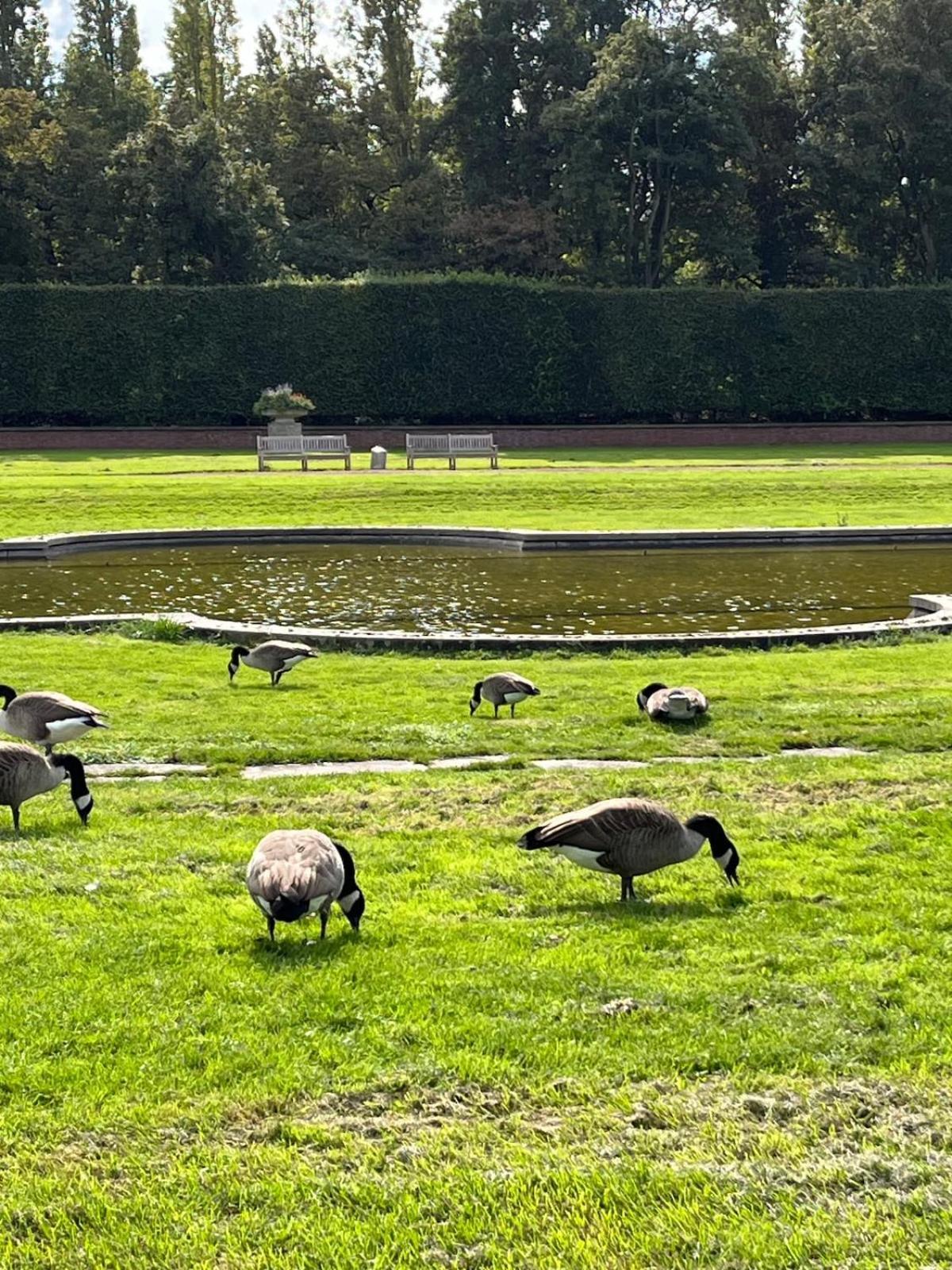 Toplage An Messe * Düsseldorf